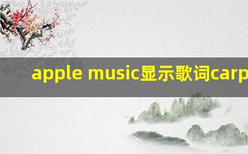 apple music显示歌词carplay